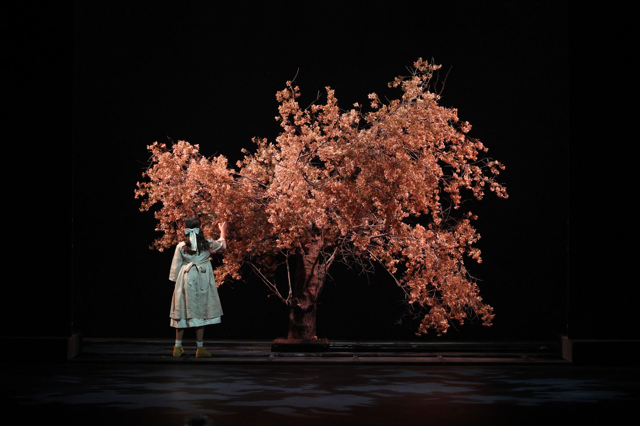 Πολιτικά μηνύματα και συγκίνηση στην τελετή έναρξης της Κυπριακής Προεδρίας