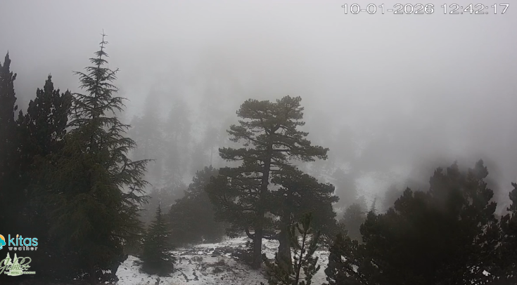 Άρχισε να μαζεύεται κόσμος στο Τρόοδος, λόγω χιονιών