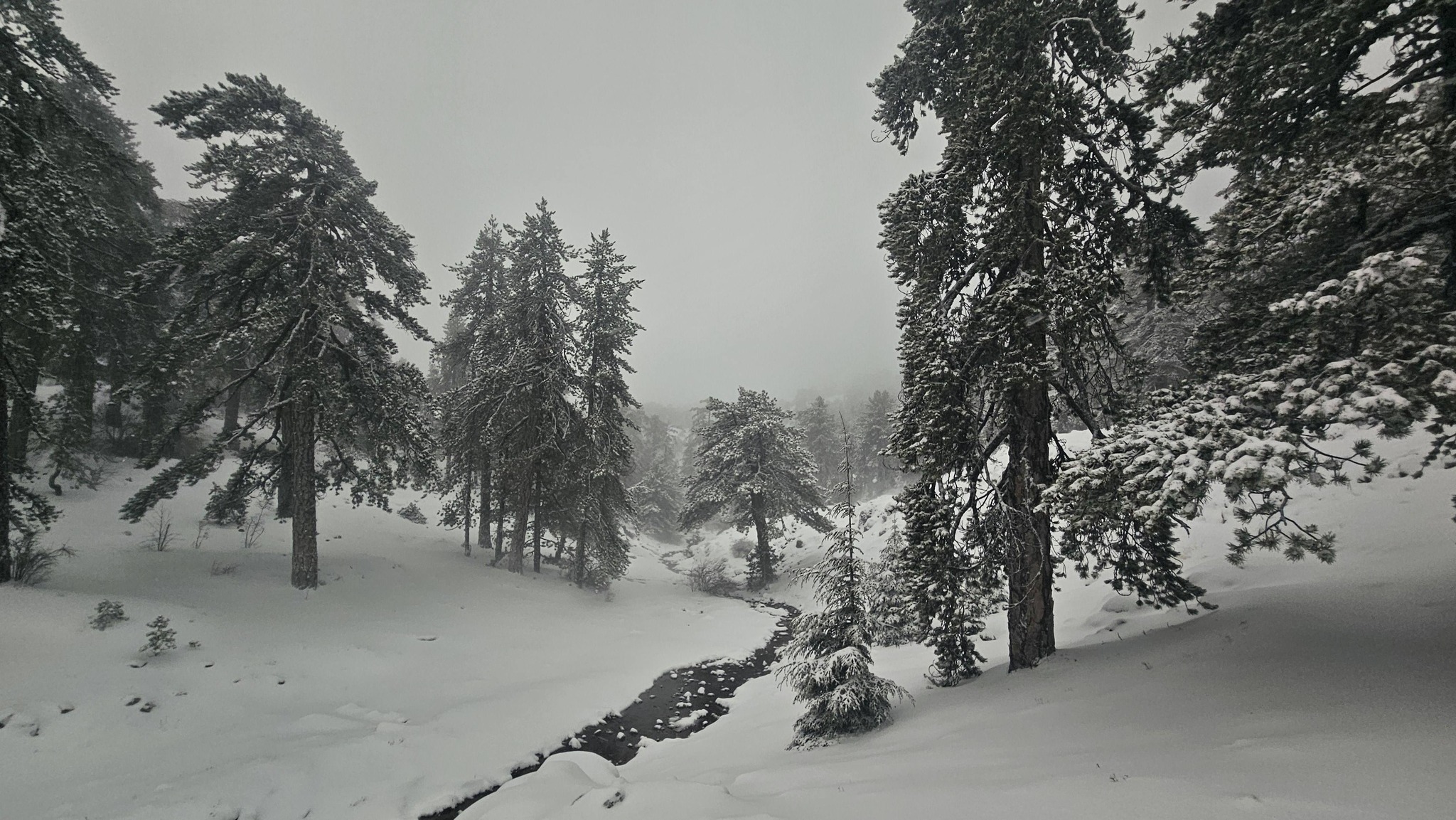 Ντύθηκαν στα λευκά τα ορεινά- Εντυπωσιακά βίντεο από Τρόοδος, Αγρό και Πλάτρες