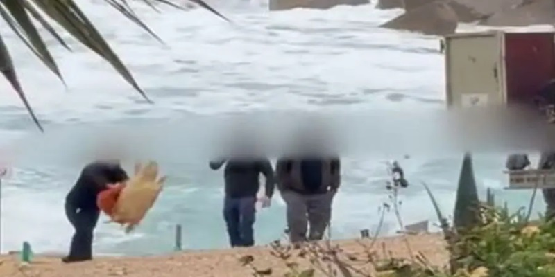 Environmental Commissioner Condemns Treatment of Turtle