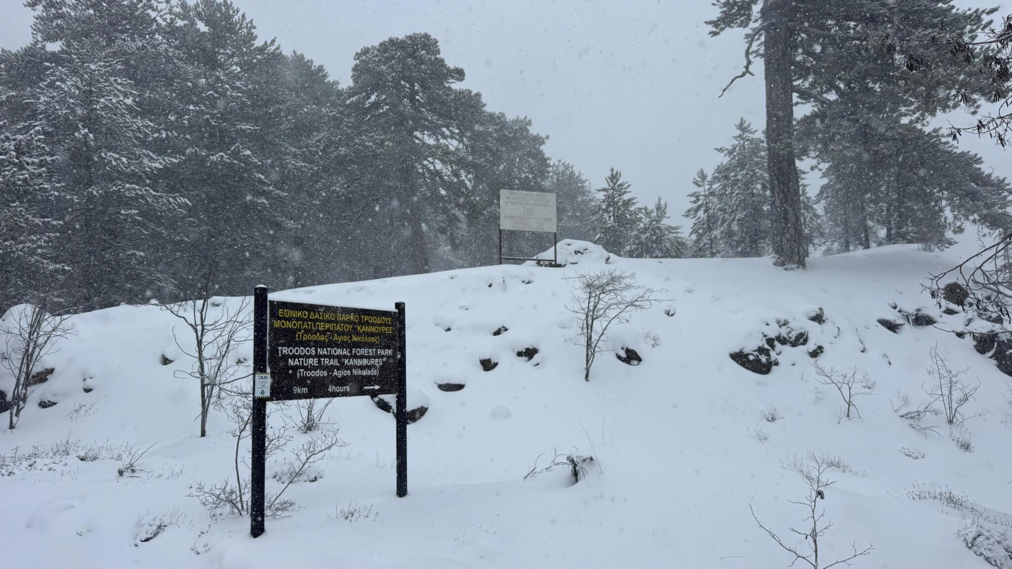 Κλειστά τα μονοπάτια της φύσης στο Τρόοδος λόγω χιονιά, λέει το Τμήμα Δασών
