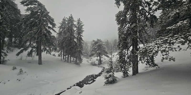 Στην «κατάψυξη» απόψε η Κύπρος - Πώς θα διαμορφωθούν οι θερμοκρασίες (ΒΙΝΤΕΟ)