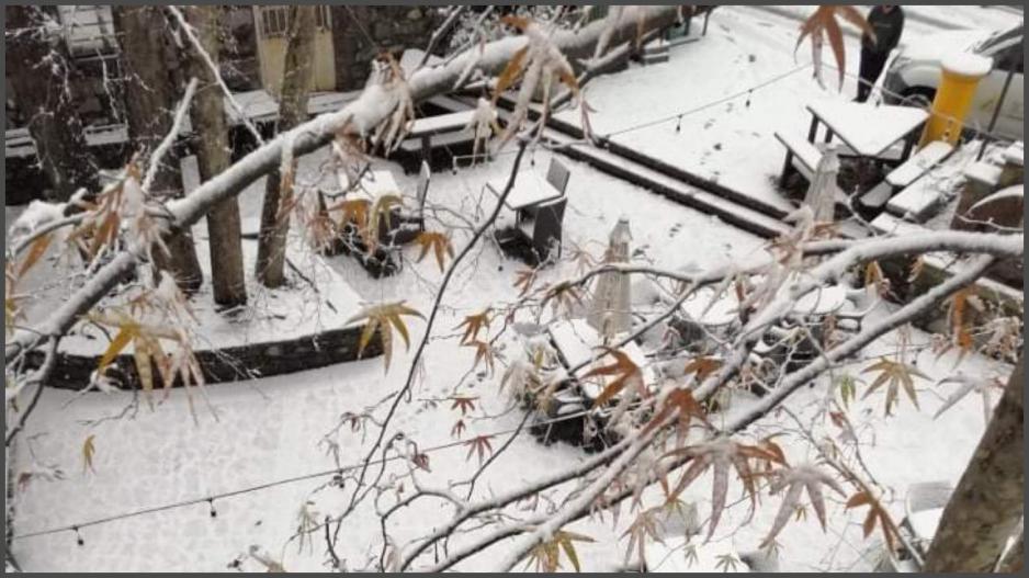 Έρχεται νέο κύμα ψύχους την Κυριακή - Πέφτει αισθητά η θερμοκρασία