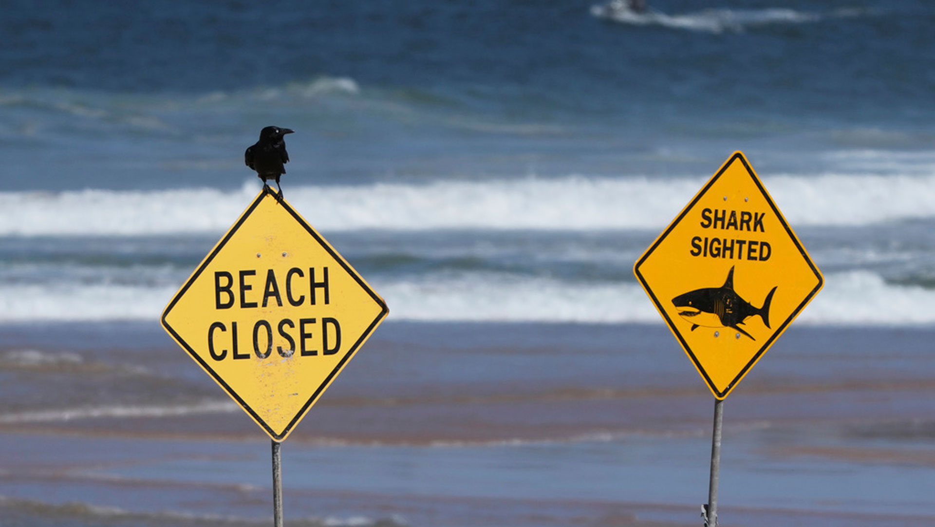 Αυστραλία: Ένας έφηβος τραυματίστηκε σοβαρά σε επίθεση καρχαρία