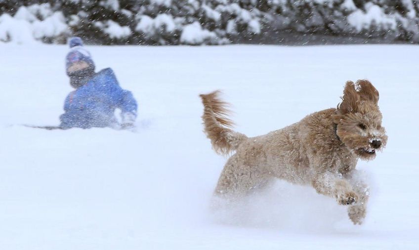 Χιονοθύελλα σαρώνει τις ΗΠΑ- Ακυρώθηκαν 15.000 πτήσεις