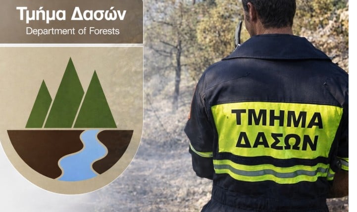 Έκθεση ΕΥ: Δασική γη χωρίς έλεγχο - Natura, ξενοδοχεία και καθυστερημένα έσοδα