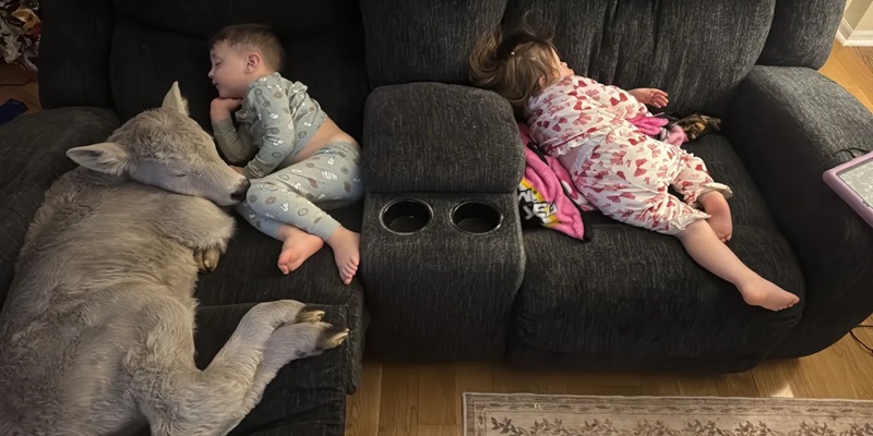 &Phi;&Omega;&Tau;&Omicron;: &Nu;&epsilon;&omicron;&gamma;έ&nu;&nu;&eta;&tau;&omicron; &mu;&omicron;&sigma;&chi;&alpha;&rho;ά&kappa;&iota; &sigma;&tau;&iota;&sigmaf; &Eta;&Pi;&Alpha; &sigma;ώ&theta;&eta;&kappa;&epsilon; &alpha;&pi;ό &tau;&omicron; &psi;ύ&chi;&omicron;&sigmaf;-&Kappa;&omicron;&iota;&mu;ά&tau;&alpha;&iota; &mu;&alpha;&zeta;ί &mu;&epsilon; &mu;&omega;&rho;ά