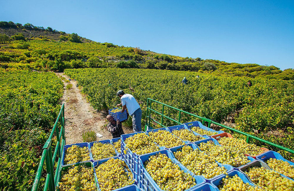 &Kappa;.&Kappa;&alpha;ϊ&lambda;&alpha;&sigmaf;: &laquo;K&alpha;&tau;&alpha;&sigma;&tau;&rho;&omicron;&phi;&iota;&kappa;ή &eta; &mu;&epsilon;ί&omega;&sigma;&eta; &pi;&alpha;&rho;&omicron;&chi;ή&sigmaf; &nu;&epsilon;&rho;&omicron;ύ &sigma;&epsilon; &alpha;&gamma;&rho;ό&tau;&epsilon;&sigmaf; - &Theta;&alpha; &phi;έ&rho;&epsilon;&iota; &alpha;&upsilon;&xi;ή&sigma;&epsilon;&iota;&sigmaf;&raquo;