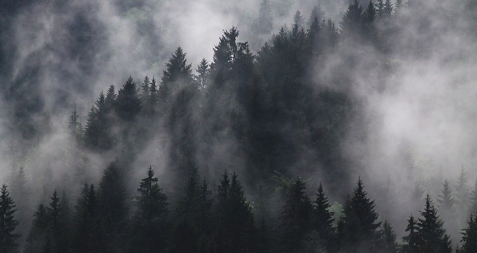 &Omicron;&delta;&eta;&gamma;&omicron;ί &pi;&rho;&omicron;&sigma;&omicron;&chi;ή: &Pi;&alpha;&rho;&alpha;&mu;έ&nu;&omicron;&upsilon;&nu; &epsilon;&pi;&iota;&kappa;ί&nu;&delta;&upsilon;&nu;&omicron;&iota; &omicron;&iota; &delta;&rho;ό&mu;&omicron;&iota; &Tau;&rho;&omicron;ό&delta;&omicron;&upsilon;&sigmaf; &lambda;ό&gamma;&omega; &pi;&upsilon;&kappa;&nu;ή&sigmaf; &omicron;&mu;ί&chi;&lambda;&eta;&sigmaf;