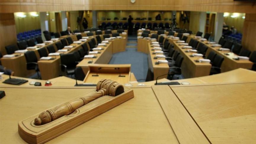 Ολομέλεια: Προωθούνται προτάσεις για σκύλους βοηθούς και ηλικιωμένους οδηγούς