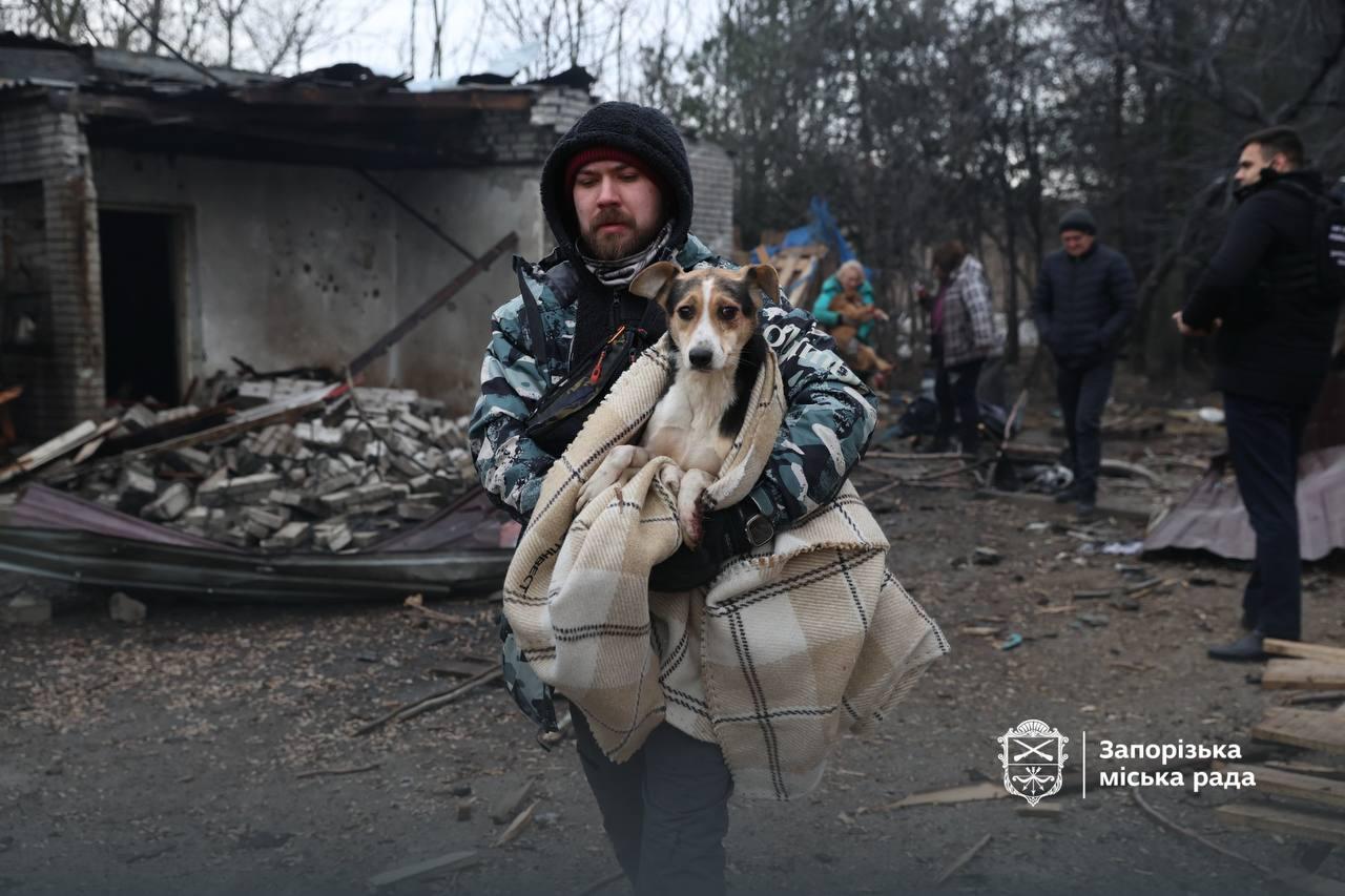Ουκρανία: Ρωσικό drone έπληξε καταφύγιο ζώων- Περίπου 10 σκυλιά νεκρά (ΒΙΝΤΕΟ)