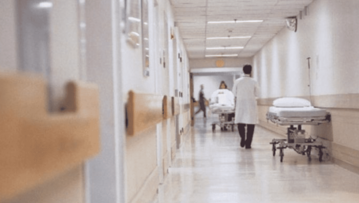 &Omicron;&Alpha;&Upsilon; &gamma;&iota;&alpha; 38&chi;&rho;&omicron;&nu;&omicron; &pi;&omicron;&upsilon; έ&chi;&alpha;&sigma;&epsilon; &mu;ό&sigma;&chi;&epsilon;&upsilon;&mu;&alpha;: &Epsilon;&xi;&alpha;&nu;&tau;&lambda;ή&sigma;&alpha;&mu;&epsilon; &kappa;ά&theta;&epsilon; &delta;&upsilon;&nu;&alpha;&tau;ό&tau;&eta;&tau;&alpha; &mu;έ&sigma;&alpha; &sigma;&epsilon; 3 ώ&rho;&epsilon;&sigmaf;