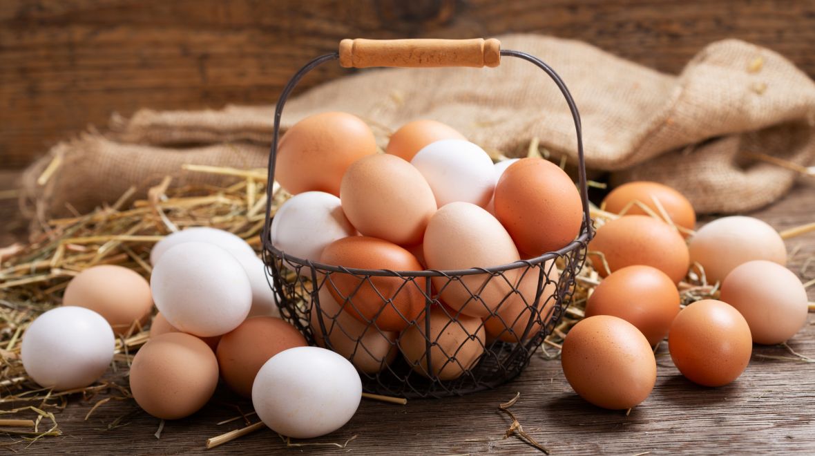 &Gamma;&alpha;&lambda;&lambda;ί&alpha;: &Eta; ό&rho;&epsilon;&xi;&eta; &tau;&omega;&nu; &Gamma;ά&lambda;&lambda;&omega;&nu; &gamma;&iota;&alpha; &tau;&alpha; &alpha;&upsilon;&gamma;ά &sigma;&epsilon; &epsilon;&pi;ί&pi;&epsilon;&delta;&alpha; &rho;&epsilon;&kappa;ό&rho; &tau;&omicron; 2025