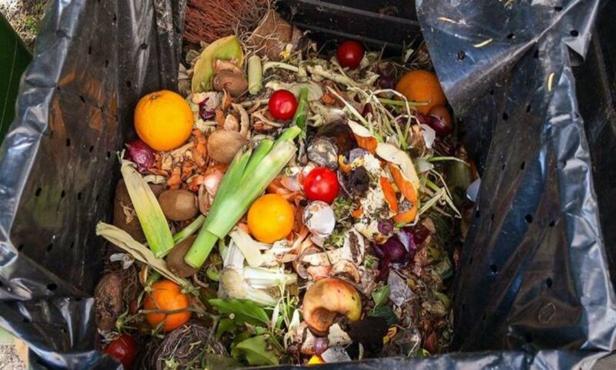 &Sigma;&tau;&eta;&nu; &Kappa;ύ&pi;&rho;&omicron; &eta;&nbsp;&psi;&eta;&lambda;ό&tau;&epsilon;&rho;&eta;&nbsp;&sigma;&pi;&alpha;&tau;ά&lambda;&eta;&nbsp;&tau;&rho;&omicron;&phi;ί&mu;&omega;&nu; &tau;&eta;&sigmaf; &Epsilon;&Epsilon;