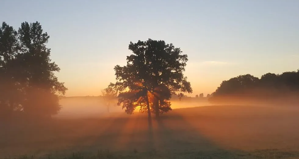 Έρχεται σκόνη και άνοδος της θερμοκρασίας – Πότε θα δούμε ξανά βροχές