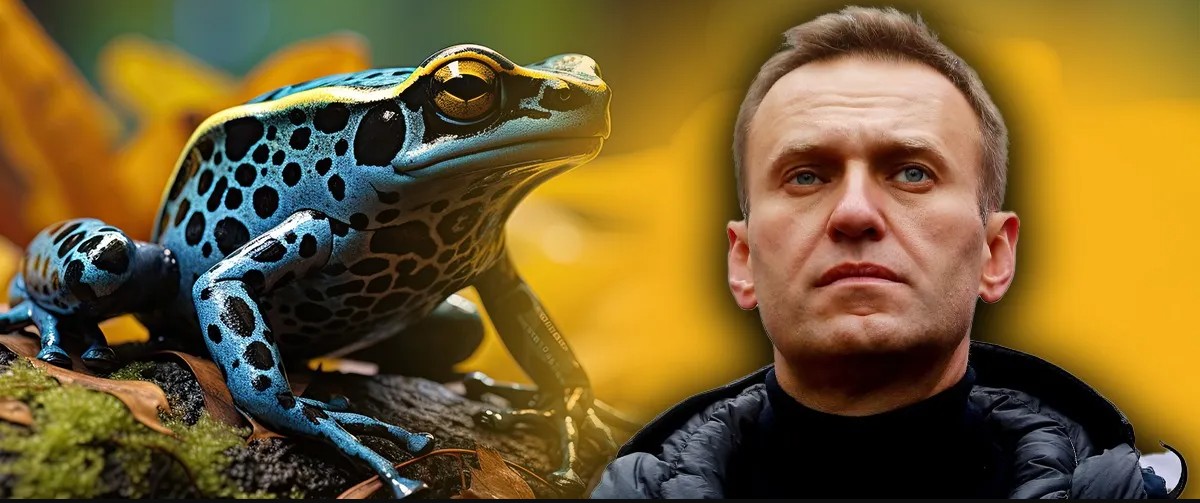 Τι είναι το δηλητήριο βατράχου που φέρεται να σκότωσε τον Ναβάλνι