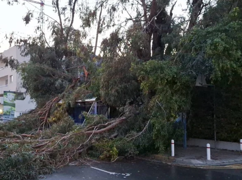 Έφεραν προβλήματα οι σφοδροί άνεμοι–Πτώσεις πασσάλων και δέντρου (vid)