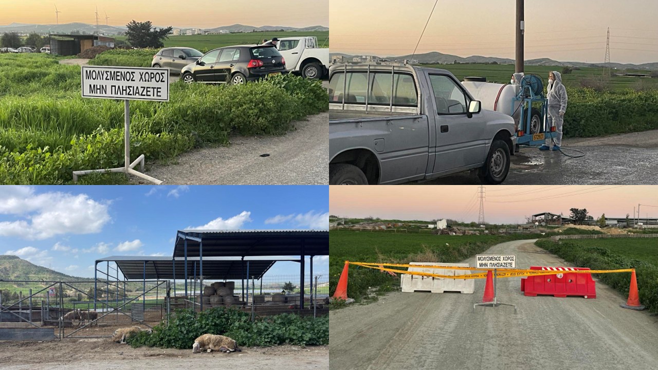 &Sigma;&upsilon;&nu;&alpha;&gamma;&epsilon;&rho;&mu;ό&sigmaf; &gamma;&iota;&alpha; &alpha;&phi;&theta;ώ&delta;&eta; &pi;&upsilon;&rho;&epsilon;&tau;ό: &Pi;&iota;&theta;&alpha;&nu;ό&nu; &nu;&alpha; &epsilon;&xi;&alpha;&pi;&lambda;ώ&theta;&eta;&kappa;&epsilon; &sigma;&epsilon; &mu;&epsilon;&gamma;ά&lambda;&eta; &alpha;&kappa;&tau;ί&nu;&alpha; (&Beta;&Iota;&Nu;&Tau;&Epsilon;&Omicron;)