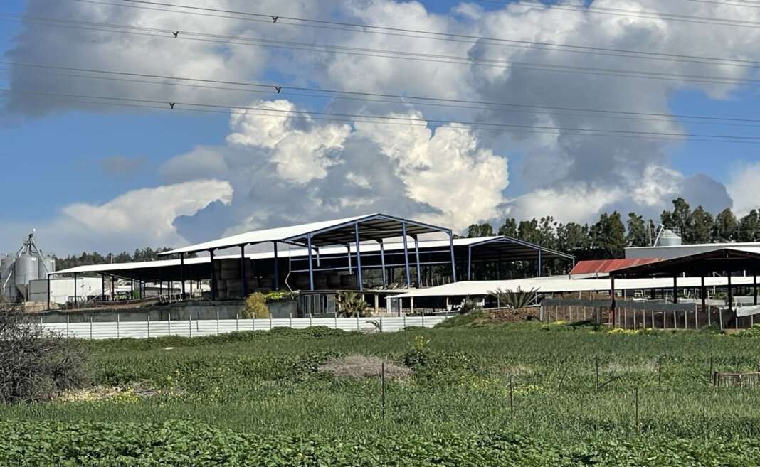 &Sigma;&epsilon; &epsilon;&tau;&omicron;&iota;&mu;ό&tau;&eta;&tau;&alpha; &gamma;&iota;&alpha; ό,&tau;&iota; &zeta;&eta;&tau;&eta;&theta;&epsilon;ί &omicron; &Delta;ή&mu;&omicron;&sigmaf; &Alpha;&rho;&alpha;&delta;ί&pi;&pi;&omicron;&upsilon; &sigma;&tau;&omicron; &theta;έ&mu;&alpha; &alpha;&phi;&theta;ώ&delta;&omicron;&upsilon;&sigmaf; &pi;&upsilon;&rho;&epsilon;&tau;&omicron;ύ