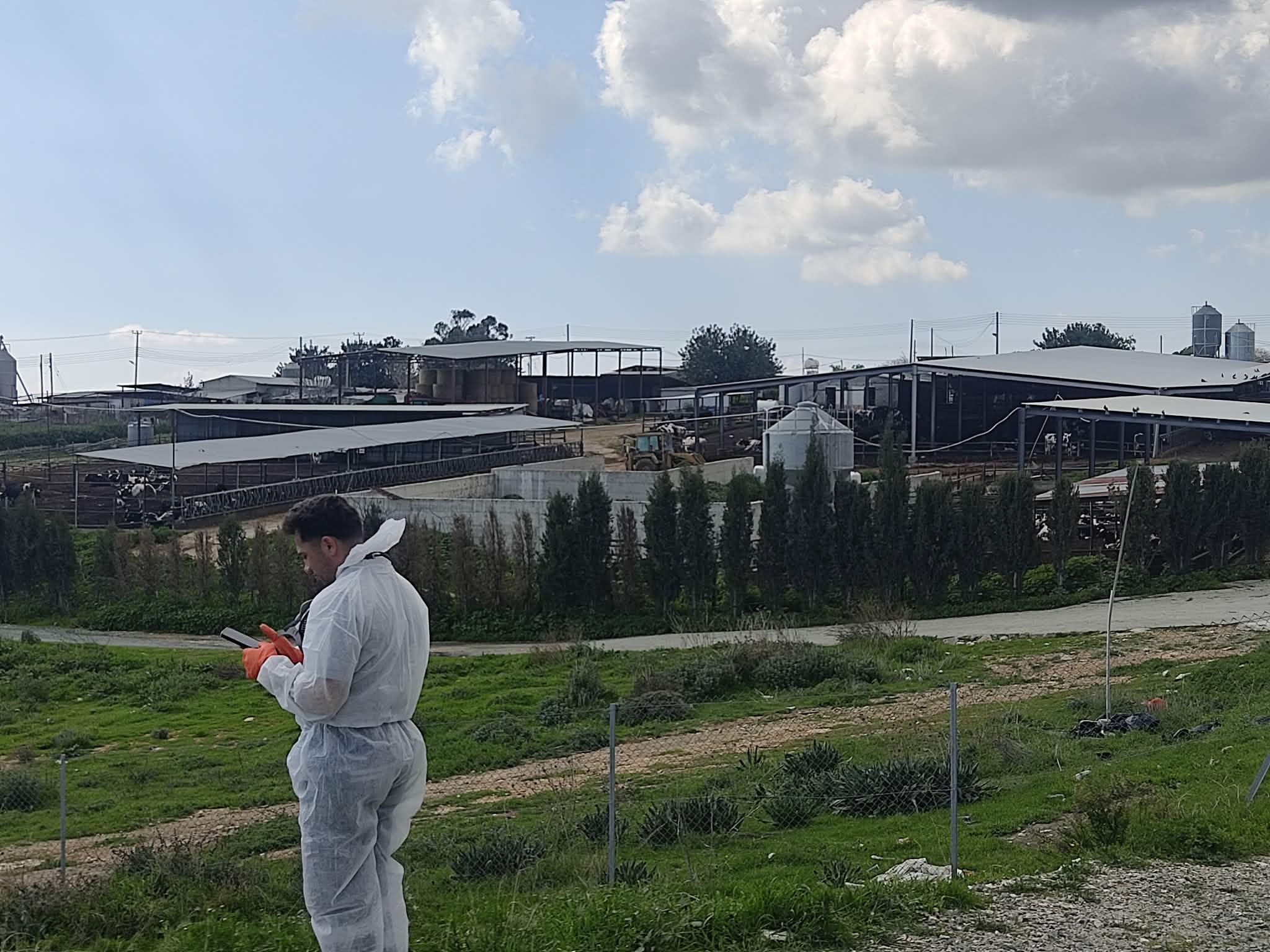 Κτηνίατροι: Παραμένει γρίφος η διαχείριση αφθώδους πυρετού από ΚΔ