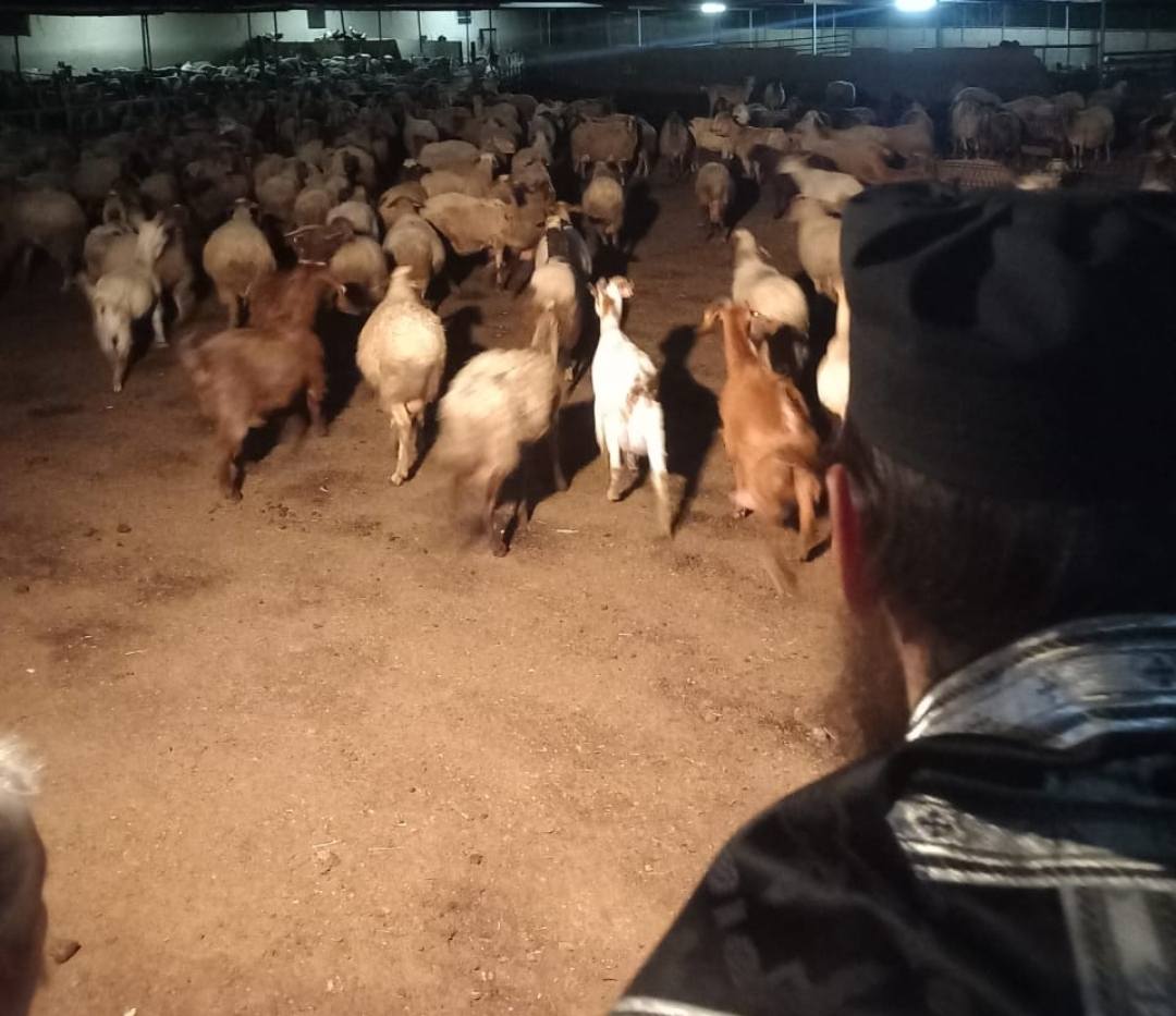 Τι απαντούν οι ιερείς για επίσκεψη σε κτηνοτροφική μονάδα - «Στοχοποίηση»