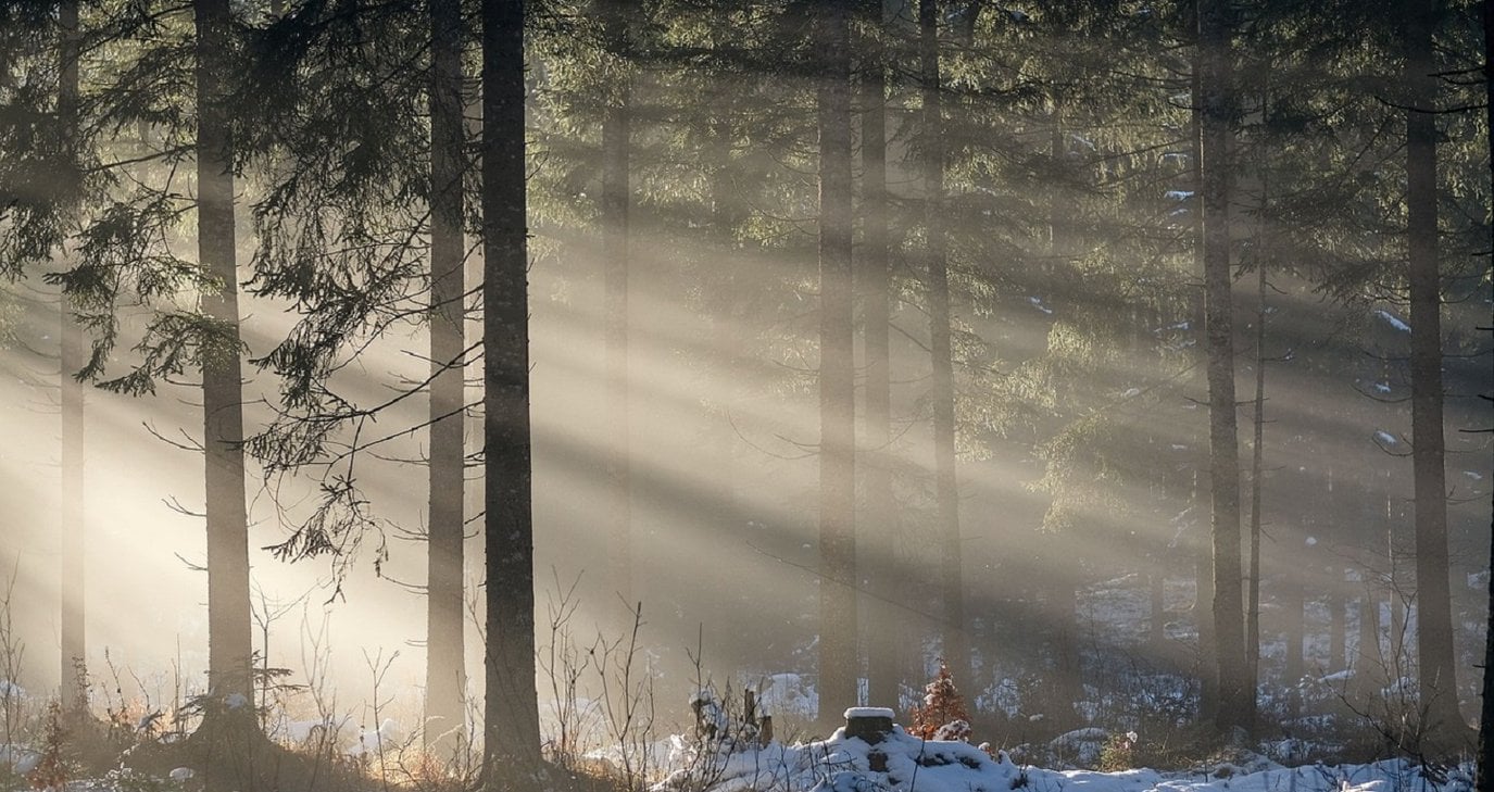 &Kappa;&rho;ύ&omicron; &sigma;&kappa;&eta;&nu;&iota;&kappa;ό &mu;&epsilon; &alpha;&nu;έ&mu;&omicron;&upsilon;&sigmaf;, &beta;&rho;&omicron;&chi;έ&sigmaf; &kappa;&alpha;&iota; &chi;&iota;ό&nu;&iota;&alpha;-&Eta; &pi;&rho;ό&gamma;&nu;&omega;&sigma;&eta; &kappa;&alpha;&iota; &gamma;&iota;&alpha; &Sigma;&alpha;&beta;&beta;&alpha;&tau;&omicron;&kappa;ύ&rho;&iota;&alpha;&kappa;&omicron;