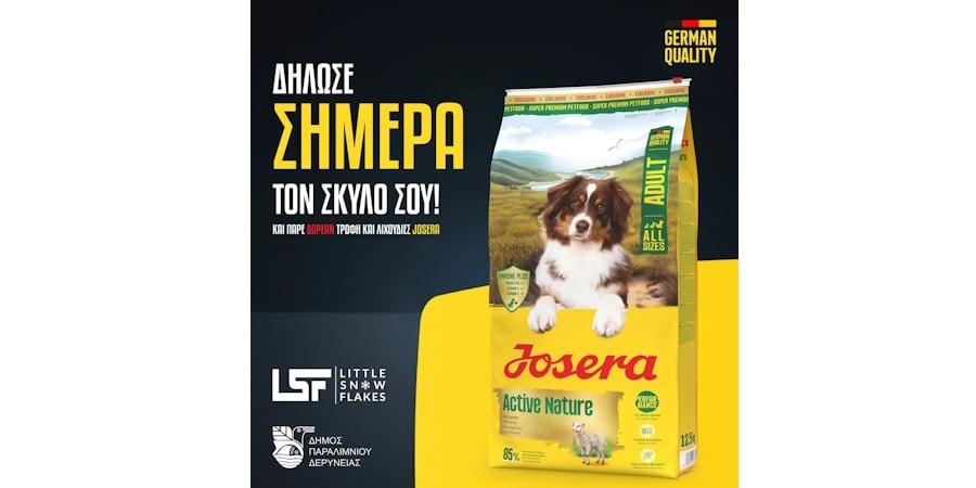 Μέτρα ενθάρρυνσης εγγραφής σκύλων στο Μητρώο του Δήμου Παραλιμνίου – Δερύνειας