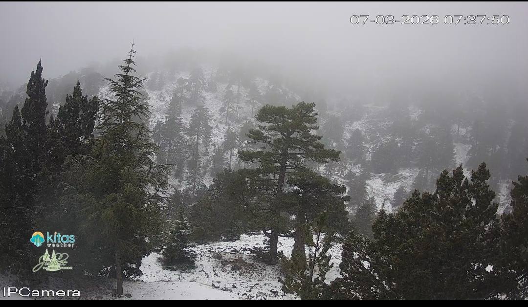 Λευκό σκηνικό στο Τρόοδος - Πιθανή νέα χιονόπτωση και σήμερα (ΦΩΤΟ)