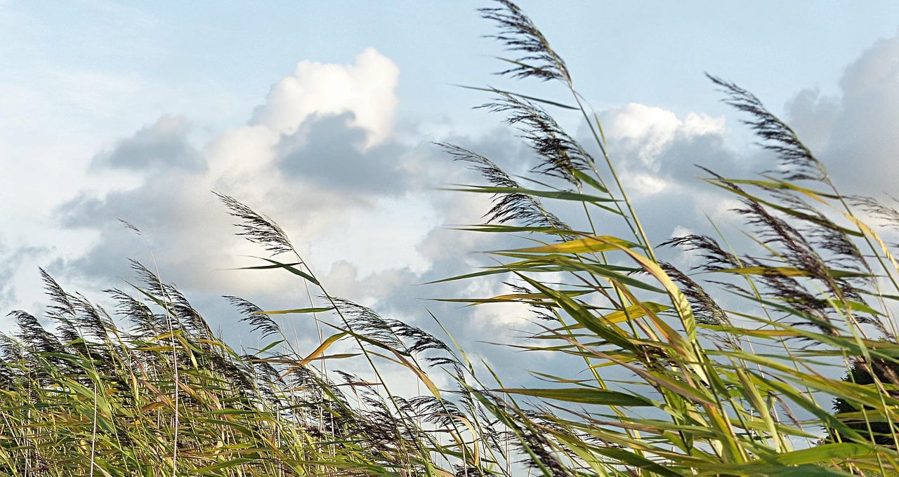 Έρχεται ενισχυμένο ρεύμα αέρα- Στους -1 βαθμους απόψε στα ορεινα