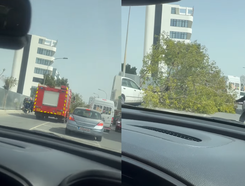 &Alpha;&nu;&alpha;&sigma;&tau;ά&tau;&omega;&sigma;&eta; &sigma;&tau;&eta; &Lambda;&epsilon;&mu;&epsilon;&sigma;ό - &Delta;έ&nu;&tau;&rho;&omicron; έ&pi;&epsilon;&sigma;&epsilon; &pi;ά&nu;&omega; &sigma;&epsilon; ό&chi;&eta;&mu;&alpha; &epsilon;&nu; &kappa;&iota;&nu;ή&sigma;&epsilon;&iota; (&Beta;&Iota;&Nu;&Tau;&Epsilon;&Omicron;)