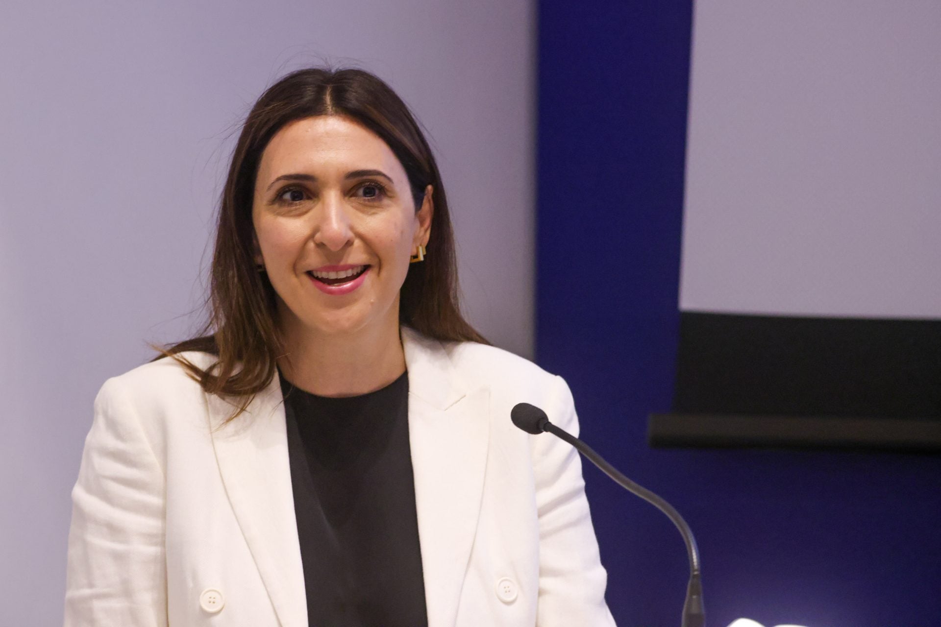 Ραουνά: Σημαντική η απλούστευση των κανόνων για την Τεχνητή Νοημοσύνη