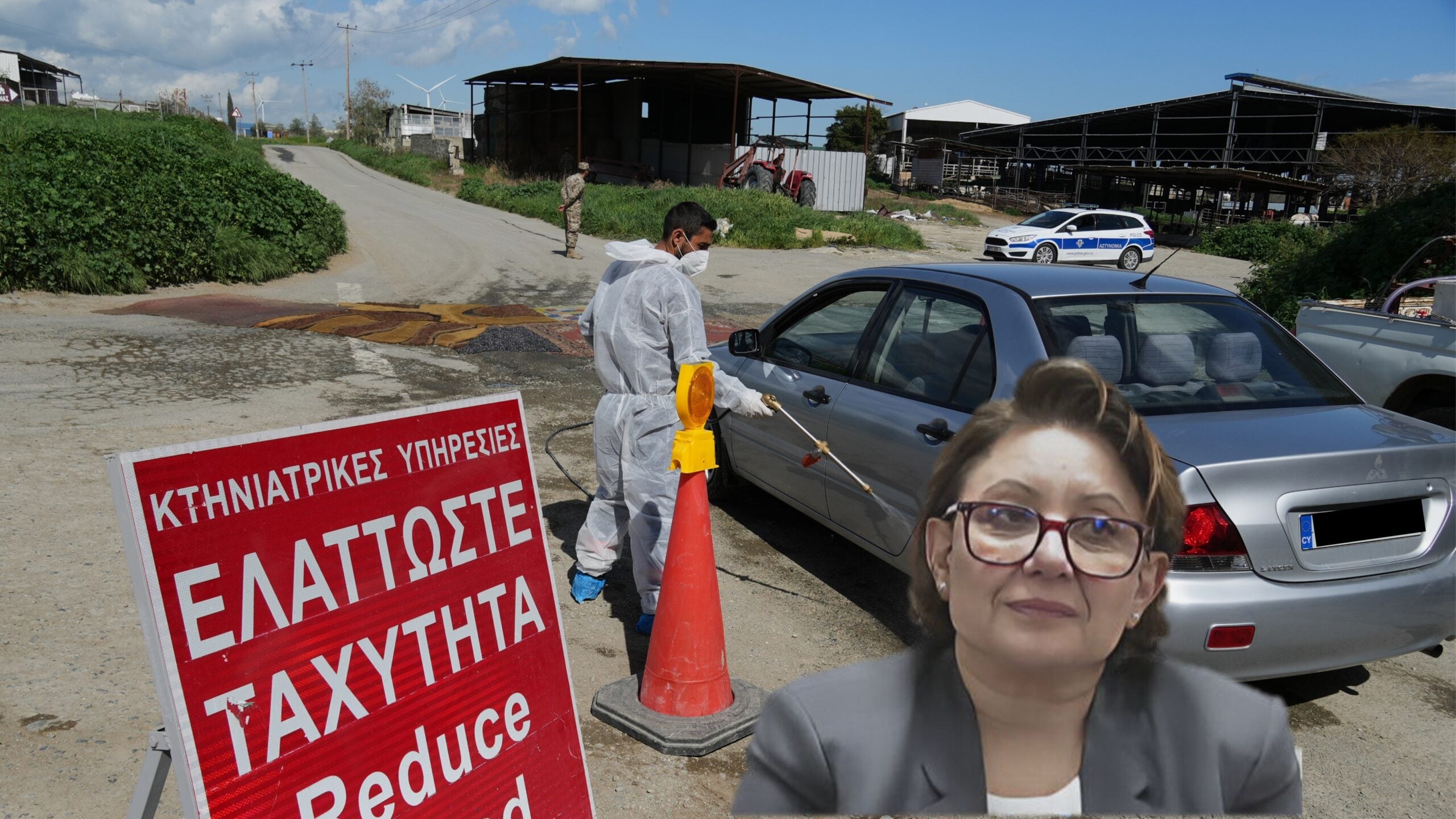 Γρηγοριάδου για αφθώδη πυρετό: Nα μη σώσουμε το δέντρο και να χάσουμε το δάσος