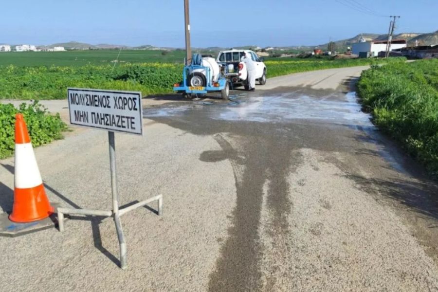 Foot-and-Mouth Disease Cases Expected in Geri and Dali, Cyprus