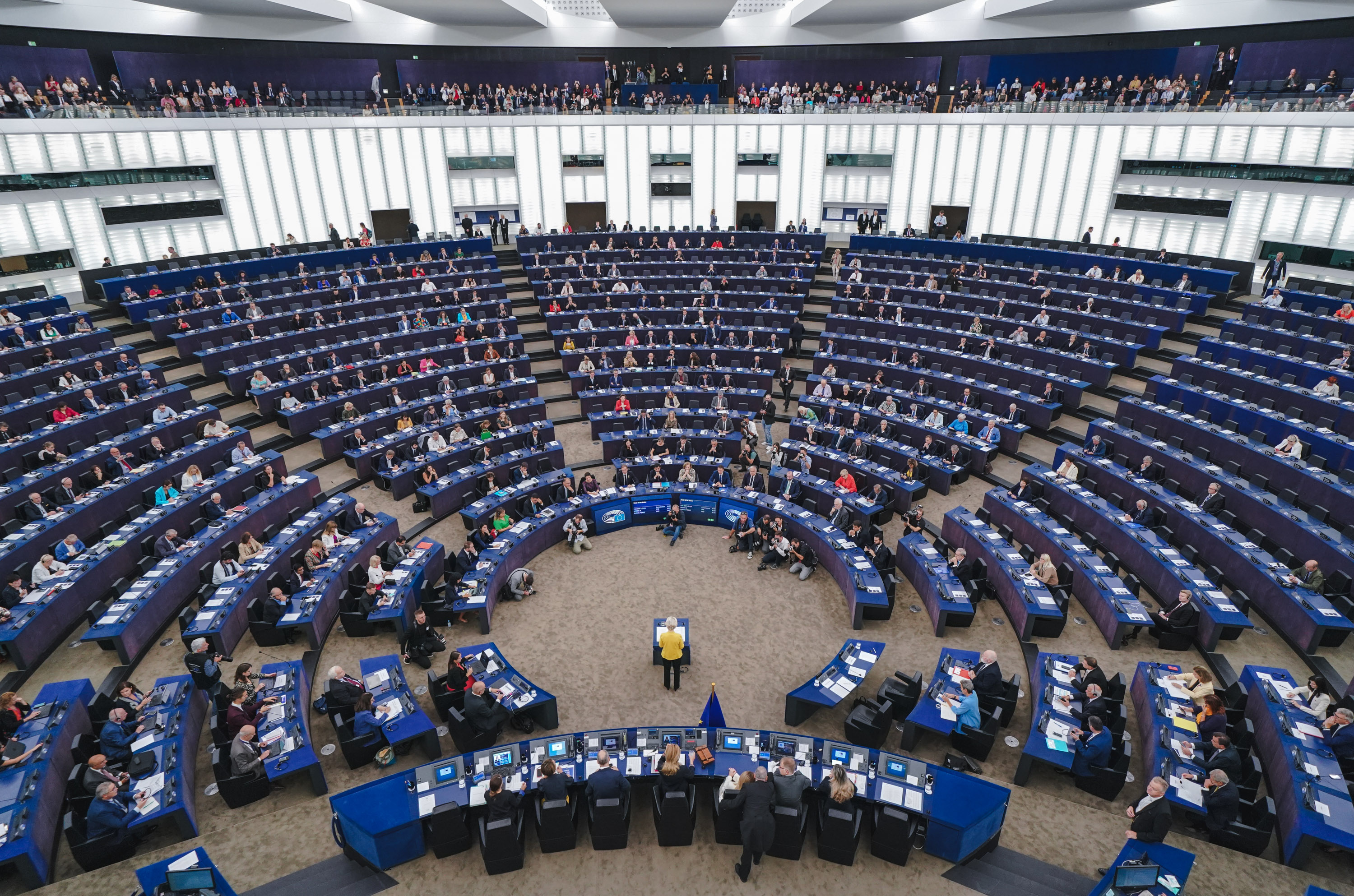 EU: Proxy Voting for Euro MPs on Maternity Leave