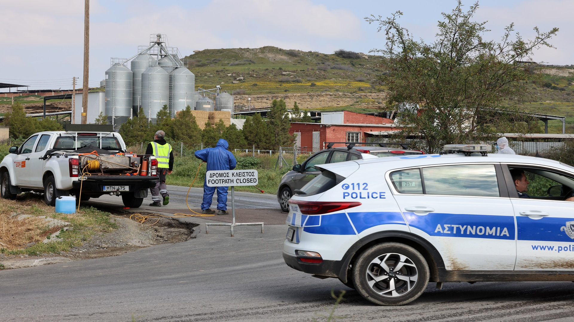 Αφθώδης πυρετός: Μηδέν νέα κρούσματα - Χωρίς παρεμπόδιση οι θανατώσεις