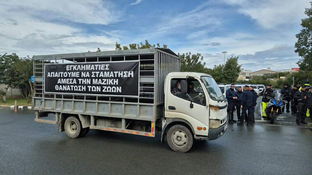 Livestock Farmers Protest, Demanding End to Animal Culling