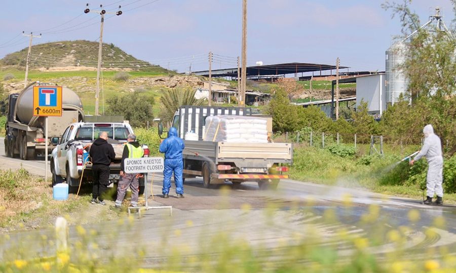 Αφθώδης πυρετός: Επηρεάστηκε το 5,5% του ζωικού κεφαλαίου της Κύπρου
