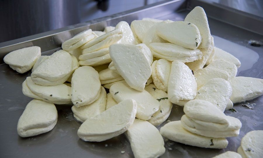 Κομισιόν: Εκτός καθεστώτος προστασίας το χαλλούμι στη συμφωνία ΕΕ-Αυστραλίας