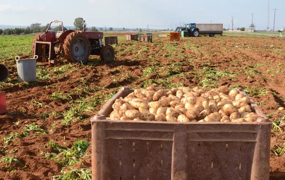Τμήμα Γεωργίας: Αιτήσεις για ζημιές από ανεμοθύελλα σε Λάρνακα-Αμμόχωστο
