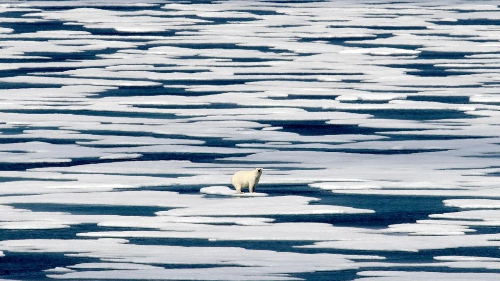 SOS from the Arctic: Record Low for Sea Ice