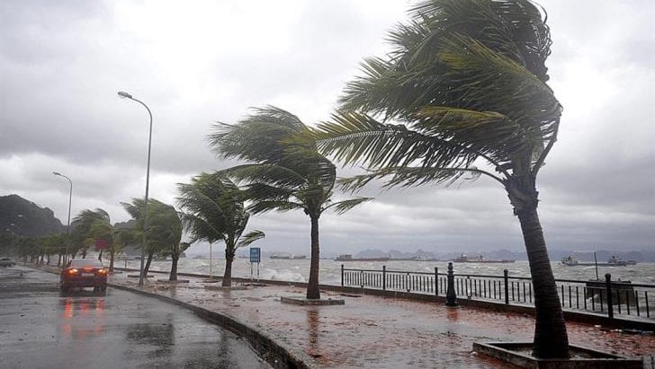 Strong Wind Warning in Effect for Cyprus Coastlines