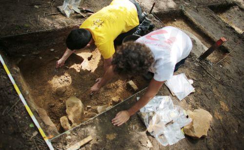 Γενετική ομοιομορφία των ύστερων Νεάντερταλ συνδέεται με την εξαφάνισή τους