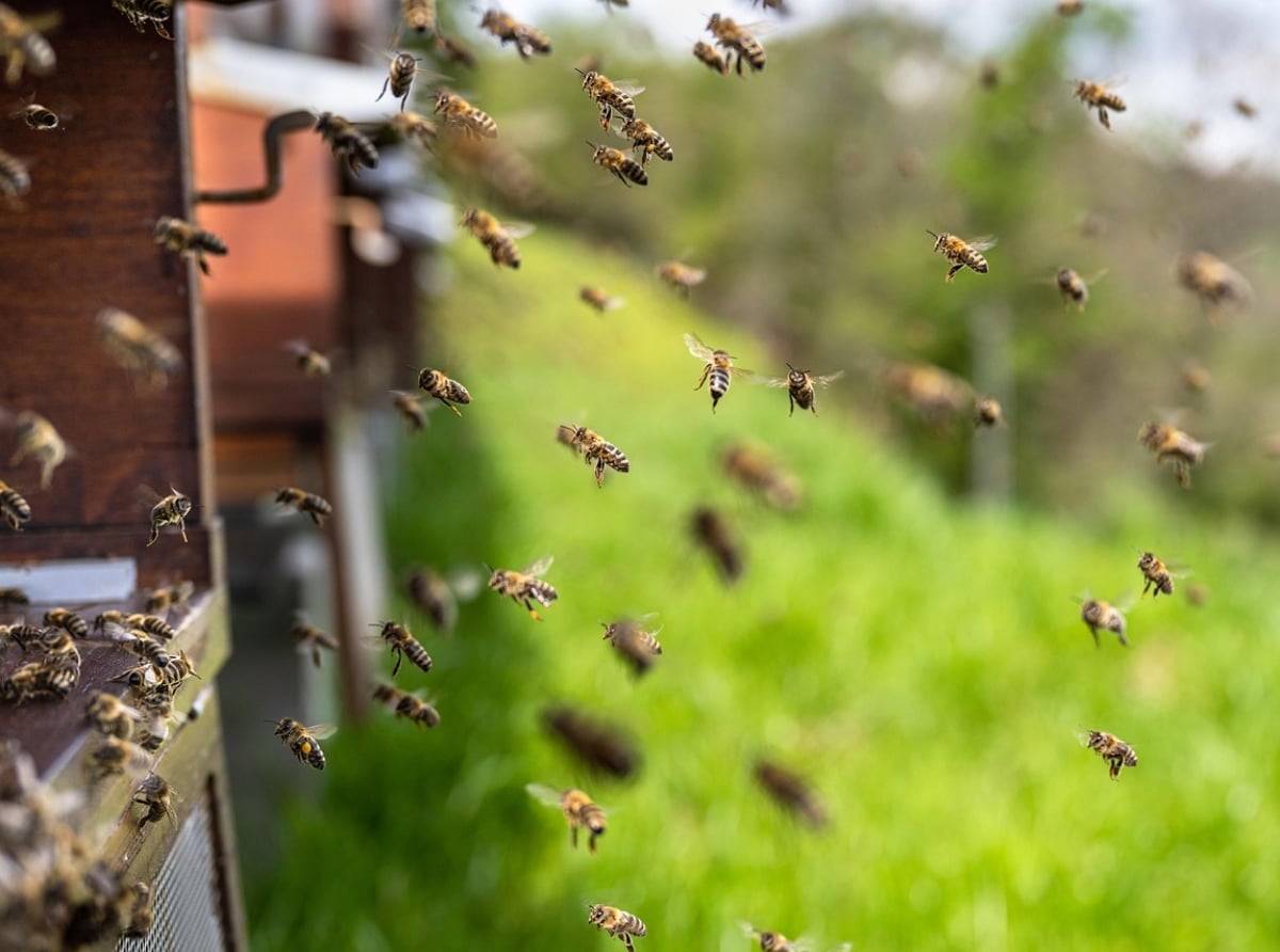 &Tau;&mu;ή&mu;&alpha; &Gamma;&epsilon;&omega;&rho;&gamma;ί&alpha;&sigmaf;: &laquo;&Sigma;&tau;&omicron;&pi;&raquo; &sigma;&epsilon; &psi;&epsilon;&kappa;&alpha;&sigma;&mu;&omicron;ύ&sigmaf; &pi;&omicron;&upsilon; &alpha;&pi;&epsilon;&iota;&lambda;&omicron;ύ&nu; &tau;&iota;&sigmaf; &mu;έ&lambda;&iota;&sigma;&sigma;&epsilon;&sigmaf;