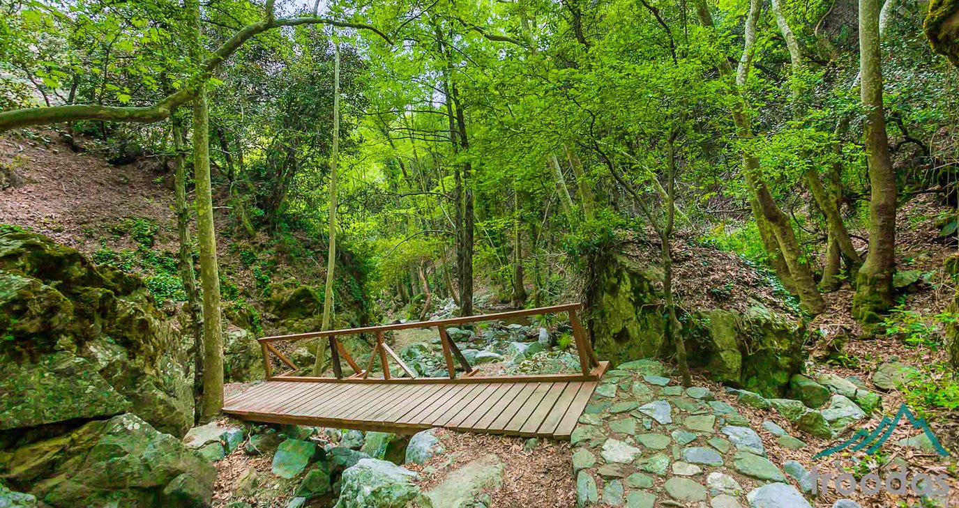 &Pi;&alpha;&rho;&alpha;&mu;έ&nu;&omicron;&upsilon;&nu; &kappa;&lambda;&epsilon;&iota;&sigma;&tau;ά &tau;&alpha; &mu;&omicron;&nu;&omicron;&pi;ά&tau;&iota;&alpha; &tau;&eta;&sigmaf; &phi;ύ&sigma;&eta;&sigmaf; - &Tau;&iota; &alpha;&nu;&alpha;&phi;έ&rho;&epsilon;&iota; &tau;&omicron; &Tau;&mu;ή&mu;&alpha; &Delta;&alpha;&sigma;ώ&nu;