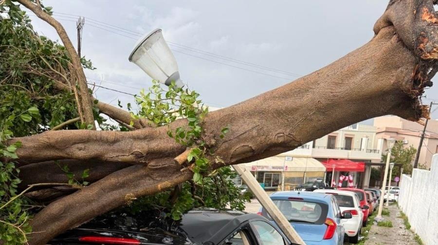 Προβλήματα στη Ρόδο από την Erminio–Ξεριζώθηκαν δέντρα, ακυρώθηκαν πτήσεις