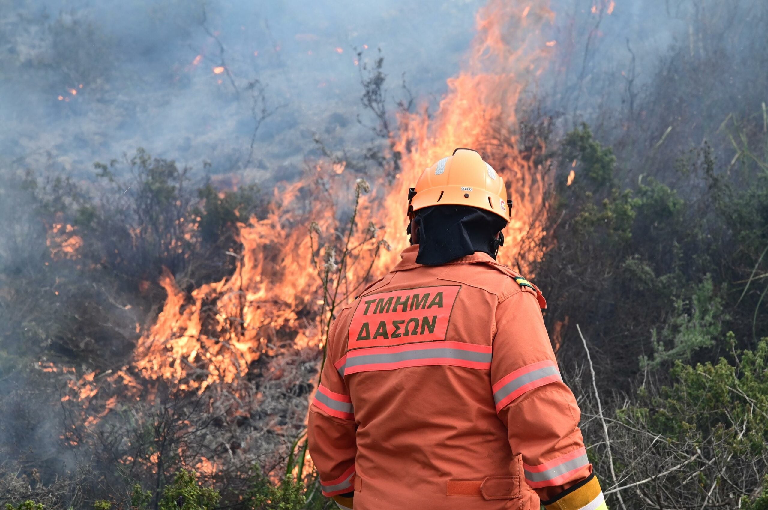 Έκκληση Τμήματος Δασών για υπεύθυνη στάση ενόψει Πάσχα – Αυτές είναι οι ποινές