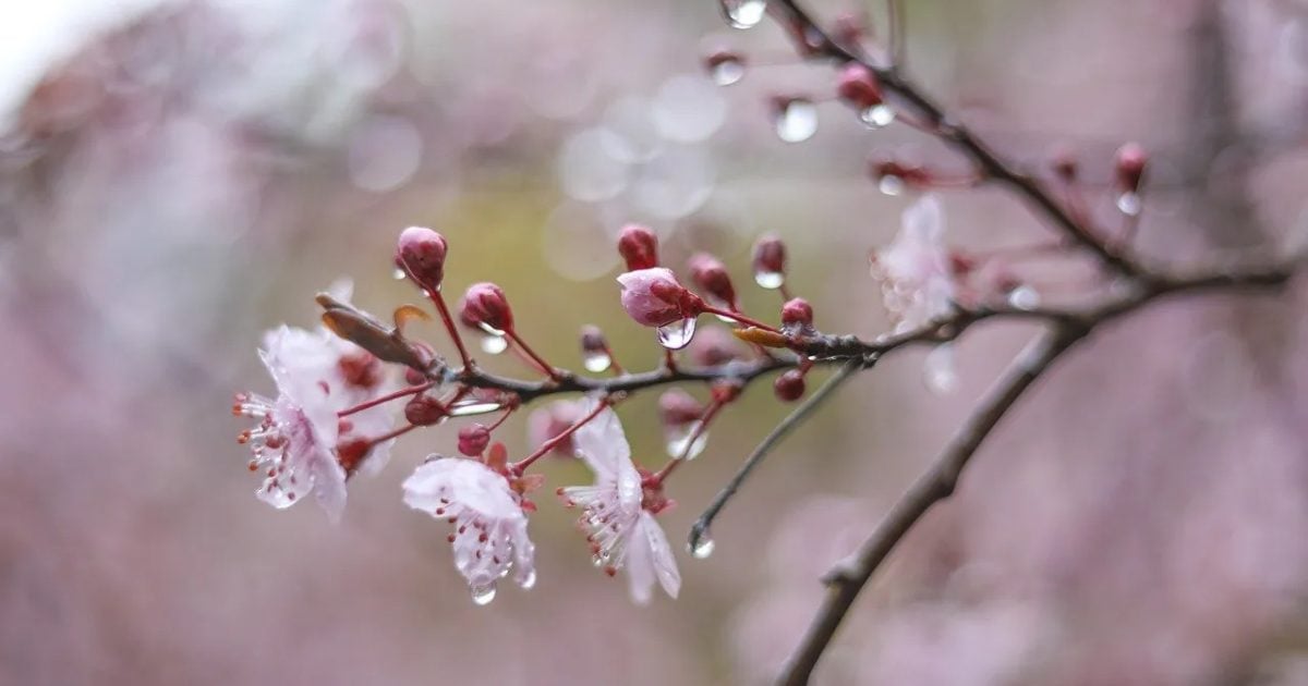 Βροχές, καταιγίδες και χαλάζι στο «μενού» του καιρού