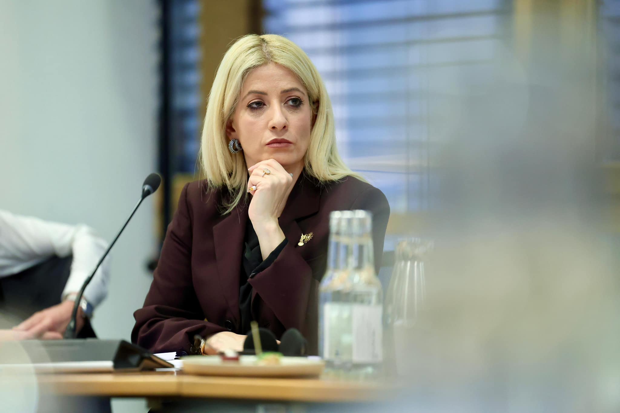 Αννίτα: Συζήτησε για το πώς θα γίνει «φρούριο» της Ευρώπης η Κύπρος