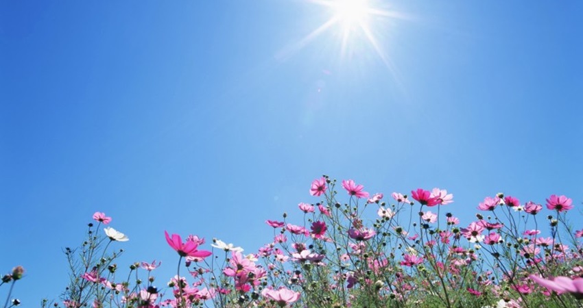 Άστατος ο καιρός σήμερα, άνοδος θερμοκρασίας τις επόμενες μέρες - Η πρόγνωση