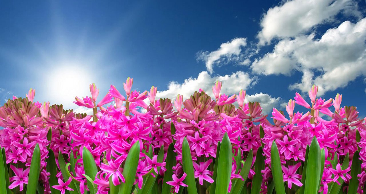 Επανέρχεται η σκόνη στην ατμόσφαιρα – Αισθητή άνοδος της θερμοκρασίας